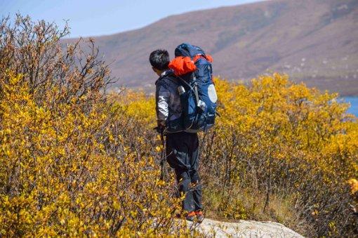 李梦嚣张招致代价,从“不可一世”到遭遇惨痛教训